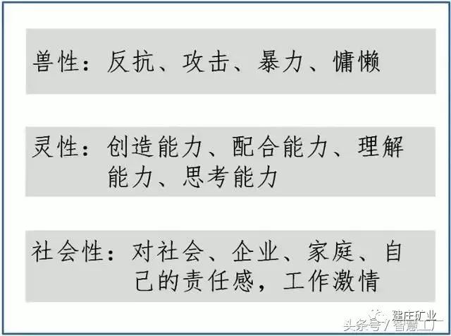 揭破:新澳门期期必中特,的警惕虚假宣传-全面释义、解释与落实